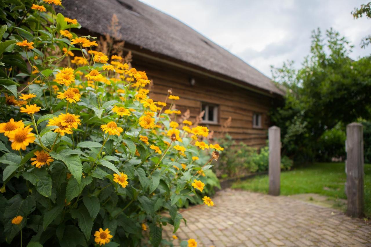 Bed and Breakfast Aan De Aelder Esch Aalden Exterior foto